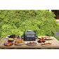 Fritteuse ohne Öl NINJA Woodfire Outdoor Grill Schwarz 2400 W