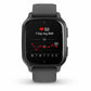 Smartwatch GARMIN 1,4" Grau Tafel