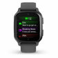 Smartwatch GARMIN 1,4" Grau Tafel