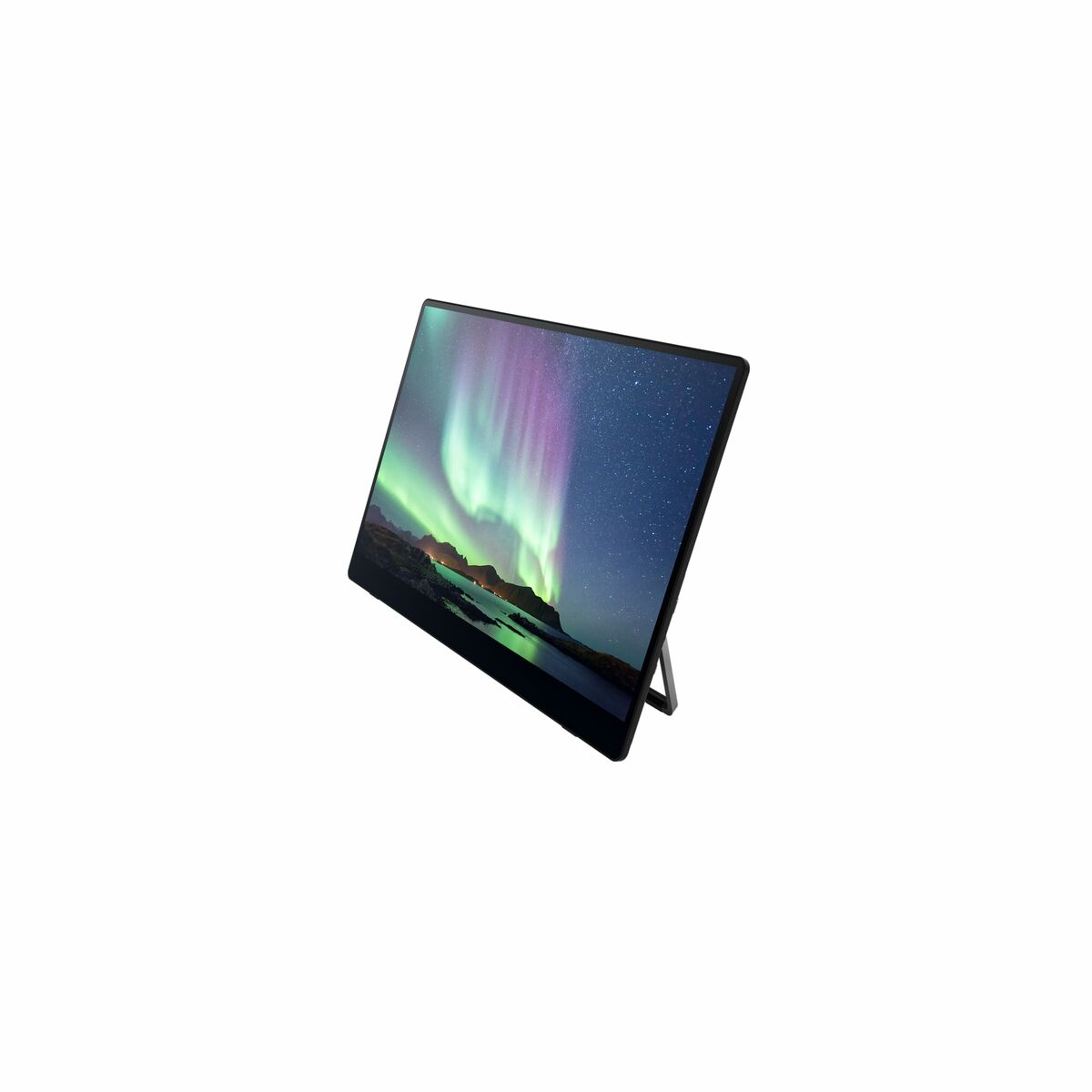 Moniteur à Ecran Tactile Ricoh 514909 15,6" OLED