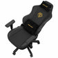 Gaming-Stuhl AndaSeat Phantom pro