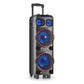 Bluetooth-Lautsprecher NGS WILD DUB 1 Schwarz 300 W