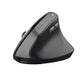 Souris Optique Ergonomique Trust Bayo II Noir 2400 dpi