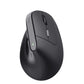 Souris Trust 25371 Noir 2400 dpi