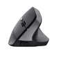 Souris Trust 25371 Noir 2400 dpi