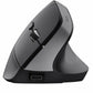 Souris sans-fil Trust Bayo+ Noir