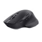 Mouse Trust 24820 Schwarz 3200 DPI