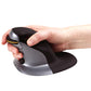 Wireless Mouse Fellowes 9894501 Black/Silver