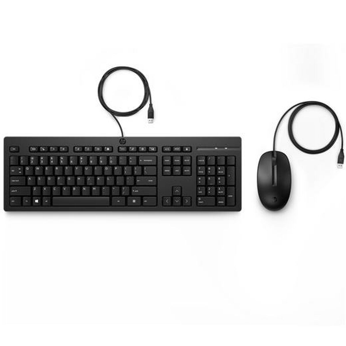 clavier et souris HP 286J4AA Noir