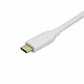 Adaptateur USB C vers Mini DisplayPort Startech CDP2MDP              Blanc 4K Ultra HD