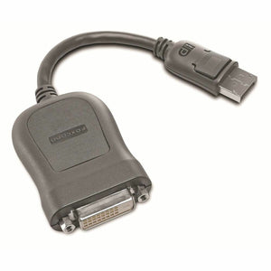 Adaptateur DisplayPort vers DVI Lenovo 45J7915              Gris