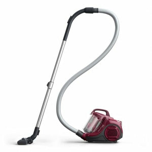 Aspirateur cyclonique Rowenta RO2933 750 W