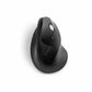 Souris sans-fil Kensington K75501EU Noir