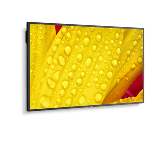 Écran NEC 60005048 43" 4K Ultra HD LED 43" IPS 50-60  Hz