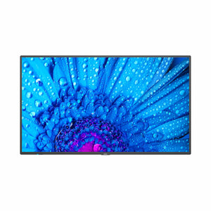 Écran NEC Display MultiSync M551 55" 4K Ultra HD LCD LED