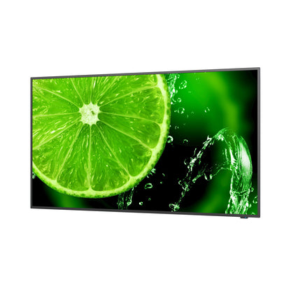 Monitor Videowall NEC 60005059 UHD 65" IPS D-LED 60 Hz 50-60  Hz 65"