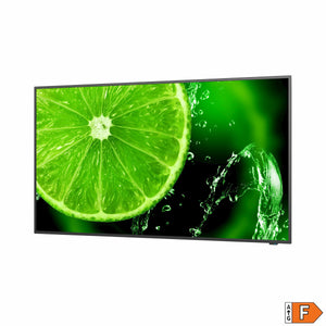 Monitor Videowall NEC 60005059 UHD 65" IPS D-LED 60 Hz 50-60  Hz 65"