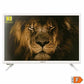 Télévision NEVIR 7710 LED LED HD Ready 24" 24"