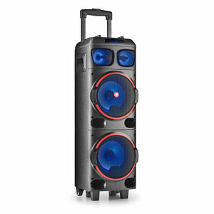 Speakers NGS WILD DUB 1 Black 300 W 300W