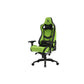 Gaming-Stuhl Newskill ‎NS-CH-OSIRIS-BLACK-GREEN