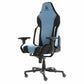 Gaming Chair Newskill Banshee Blue