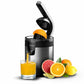 Electric Juicer Cecotec Xqueeze RetroJuice 600 Steel 600 W