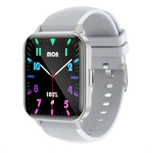 Montre intelligente LEOTEC LESW41G Gris