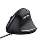 Souris USB Trust Bayo Ergonomique Vertical 800/4000 dpi Lumières LED Noir