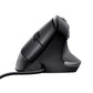 Souris USB Trust Bayo Ergonomique Vertical 800/4000 dpi Lumières LED Noir