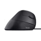 Souris USB Trust Bayo Ergonomique Vertical 800/4000 dpi Lumières LED Noir