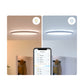 Ceiling Light Philips Wiz 14W False ceiling 1300 lm 14 W