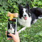 Clip pour Selfies pour Animaux Familiers Pefie InnovaGoods